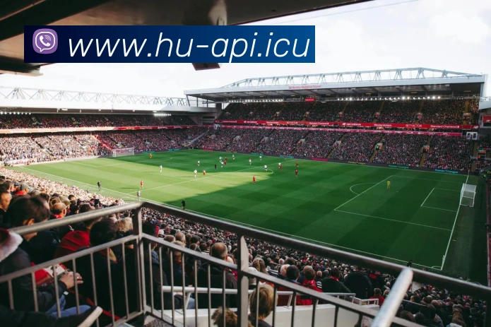 App Interface Preview