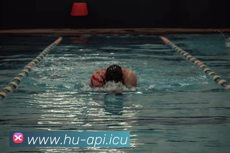 9游会官网首页APP 封面图